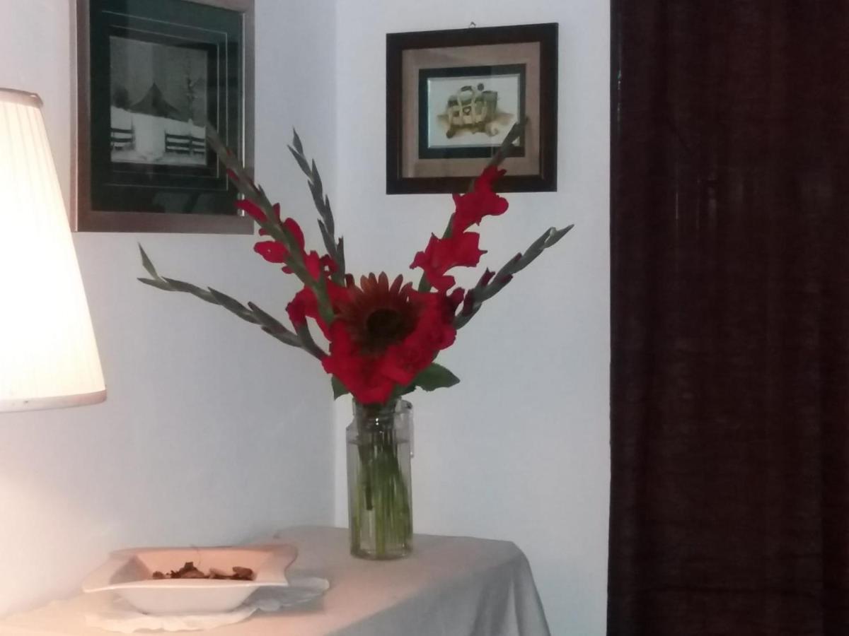 Casa Dragao Bed & Breakfast Porto Luaran gambar